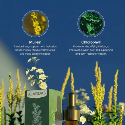 Aladdas Mullein + Chlorophyll Drops