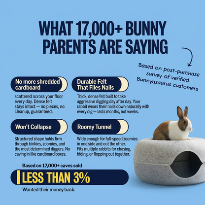 Aladdas Bunny Cave