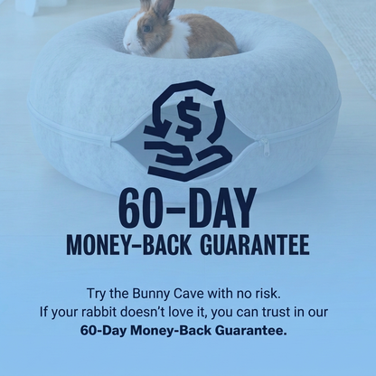 Aladdas Bunny Cave