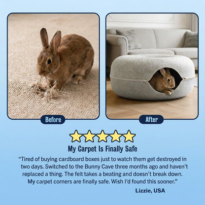 Aladdas Bunny Cave